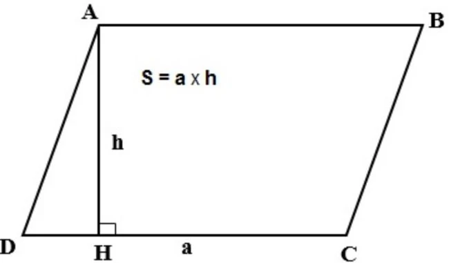 Hình Bình Hành Trong Nghệ Thuật