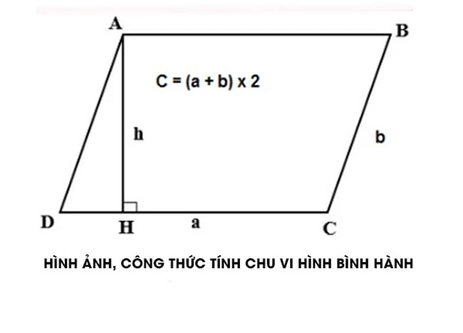 Hình Bình Hành Minh Họa