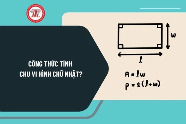 Chu vi hình chữ nhật trong thực tế