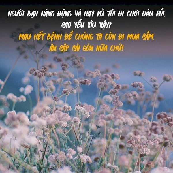 Chúc mau khỏe