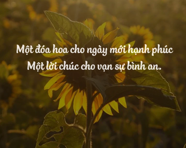 Sức khỏe