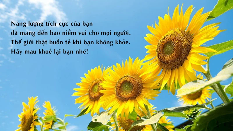 Lời chúc sức khỏe