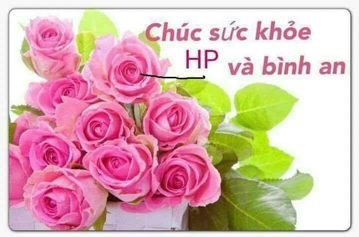 Chúc sức khỏe hạnh phúc