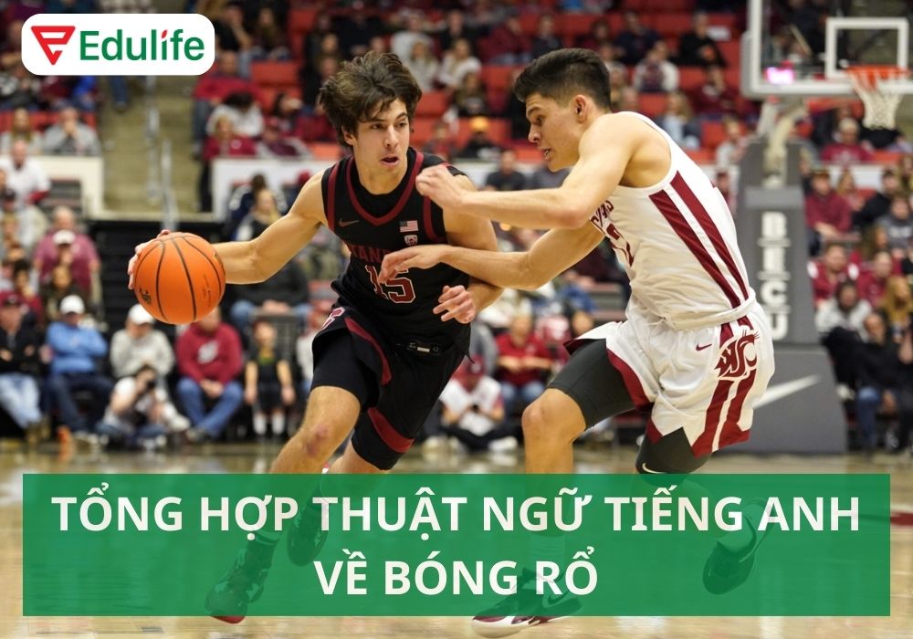 Bóng rổ tiếng Anh là gì? 40+ thuật ngữ bóng rổ tiếng Anh