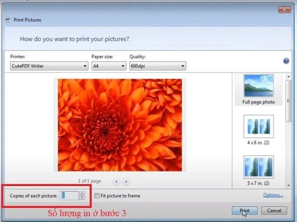 Cách in ảnh trên máy tính dễ dàng chỉ trong vài bước