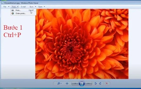 Cách in ảnh trên máy tính dễ dàng chỉ trong vài bước
