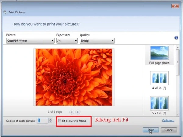 Cách in ảnh trên máy tính dễ dàng chỉ trong vài bước