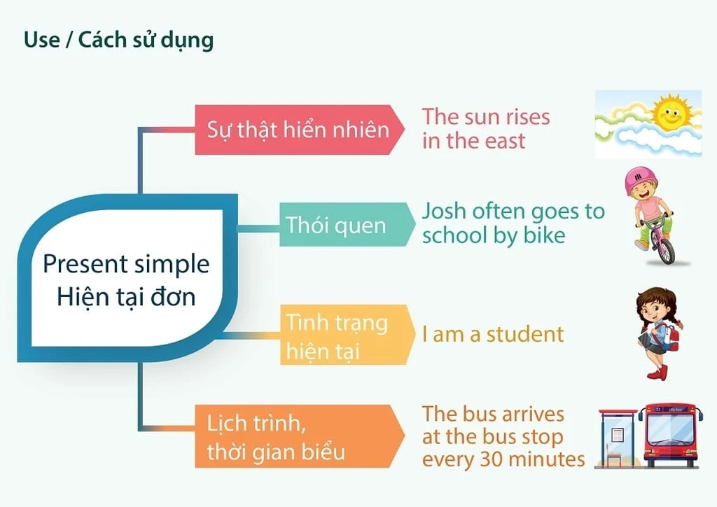 12 thì trong tiếng Anh: công thức, cách dùng và dấu hiệu nhận biết