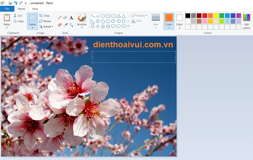 Xóa chữ trên ảnh: Cách xóa chữ, logo trên ảnh online, Photoshop