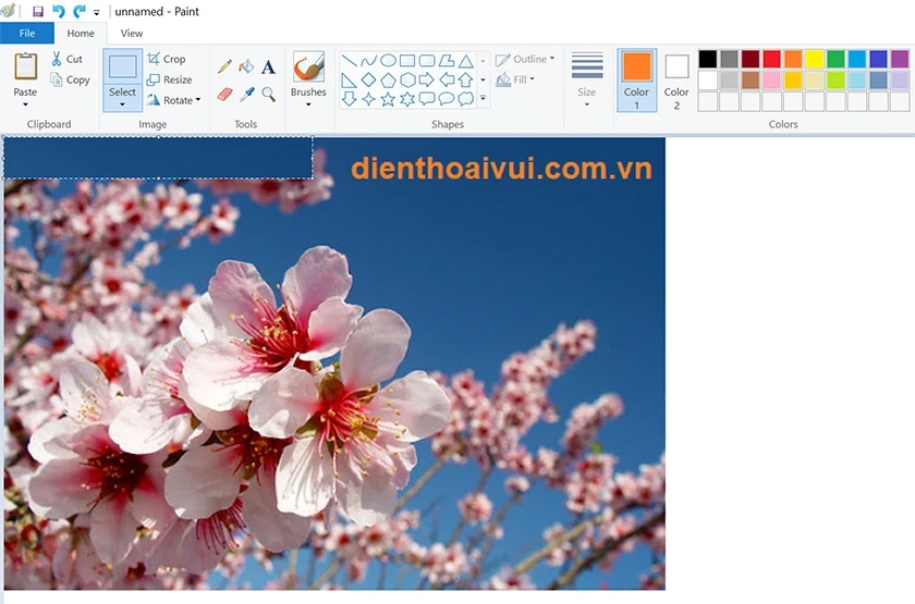 Xóa chữ trên ảnh: Cách xóa chữ, logo trên ảnh online, Photoshop