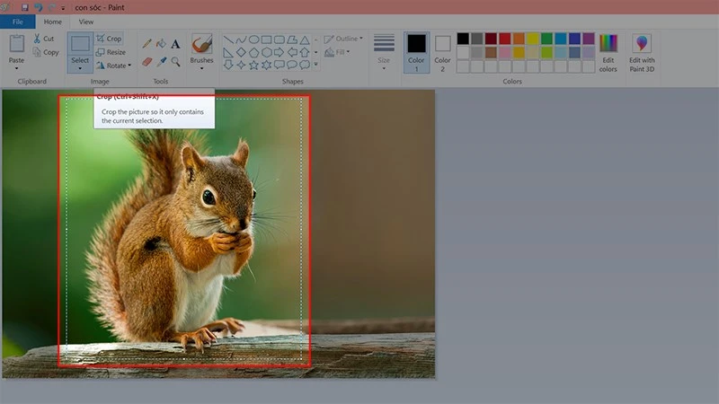 Cách cắt ảnh trong Paint trên Windows 7,8,10 nhanh, đơn giản