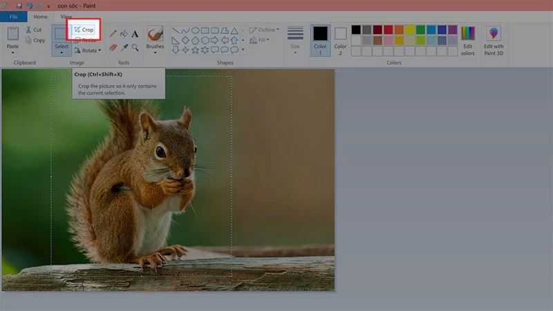 Cách cắt ảnh trong Paint trên Windows 7,8,10 nhanh, đơn giản