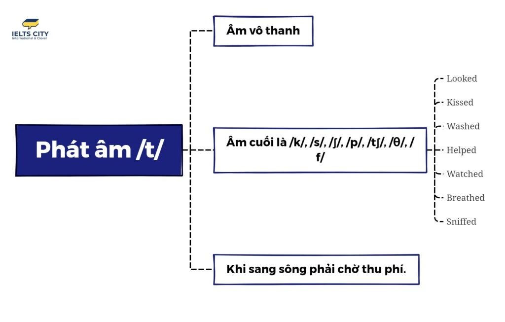 Mẹo nhớ 3 Cách phát âm đuôi ED trong tiếng Anh bằng câu thần chú