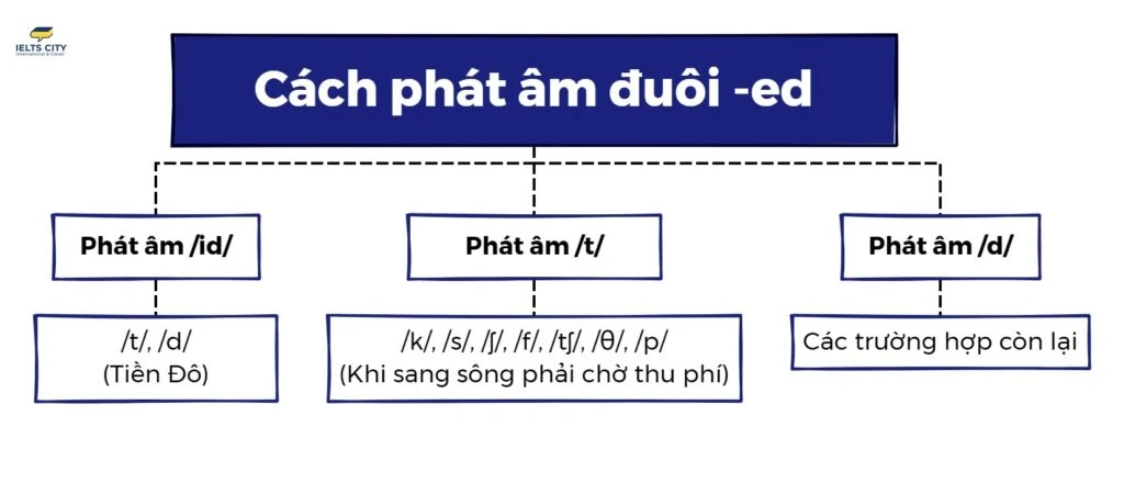 Cách đọc ed trong tiếng Anh hiệu quả và dễ hiểu