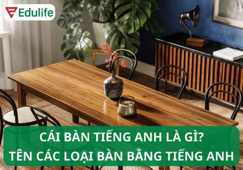 Cái bàn tiếng Anh là gì? Idioms về cái bàn trong tiếng Anh