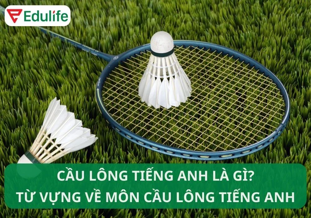 Cầu lông tiếng Anh là gì? Từ vựng tiếng Anh về cầu lông