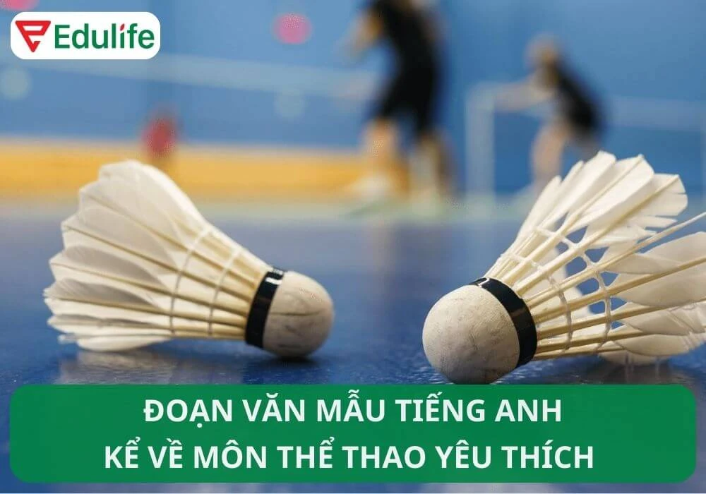 Cầu lông tiếng Anh là gì? Từ vựng tiếng Anh về cầu lông