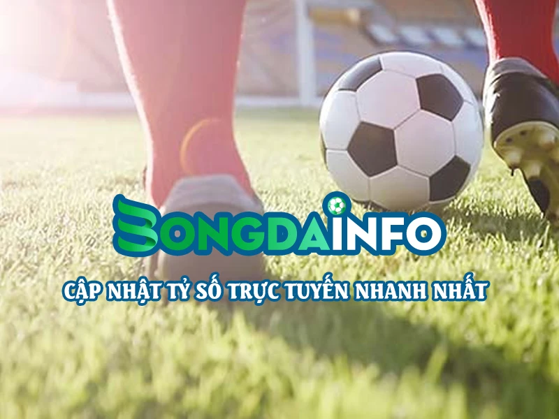 Bongdalu Vip tỷ số trực tuyến, dữ liệu Bongdaso - Bongdainfo