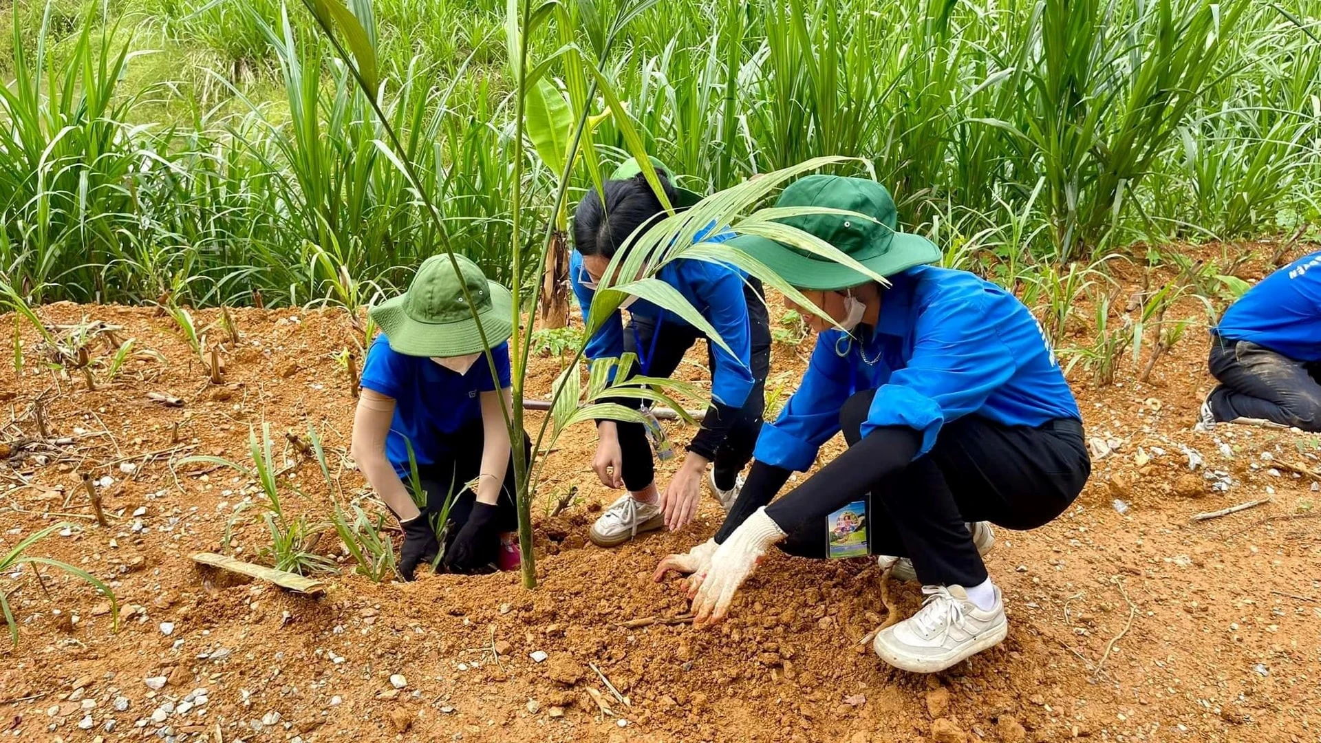 Chiến dịch Mùa hè Xanh 2024 đã làm được gì cho hàng chục nghìn người dân?